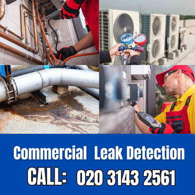 Commercial Leak Detection Services in Kew | Kew Leak Detection